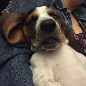 Meet your Posher, Danielle